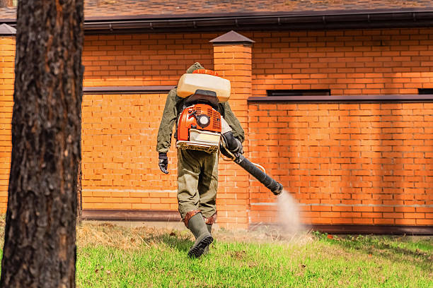 Trusted Rodent Control service in West Buechel, KY - Nex Pest Control